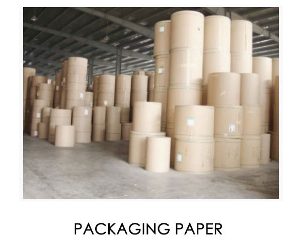 PACKAGING PAPER FELTS