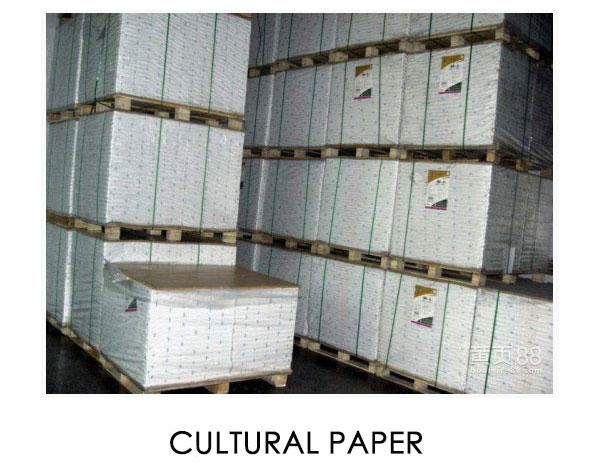 CULTURE PAPER FELTS