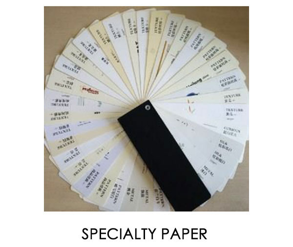 SPECIALTY PAPER FELTS
